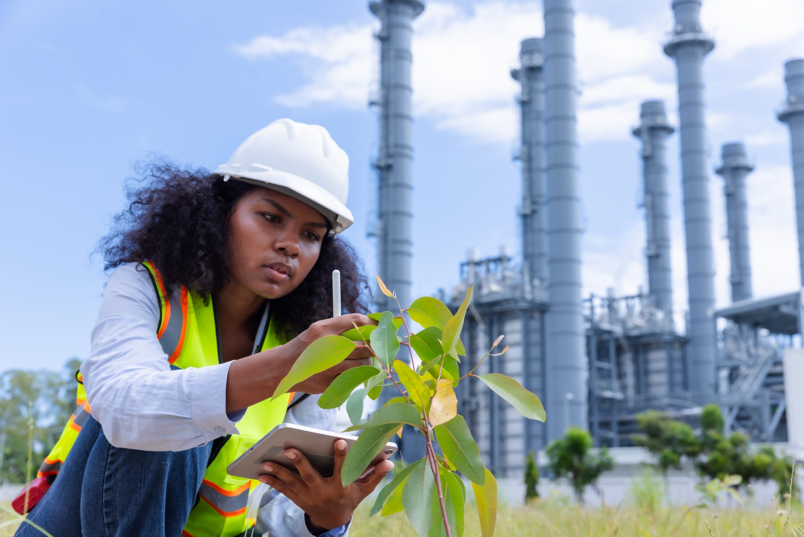 Renewable Energy and Waste Management: The Future of Sustainability
