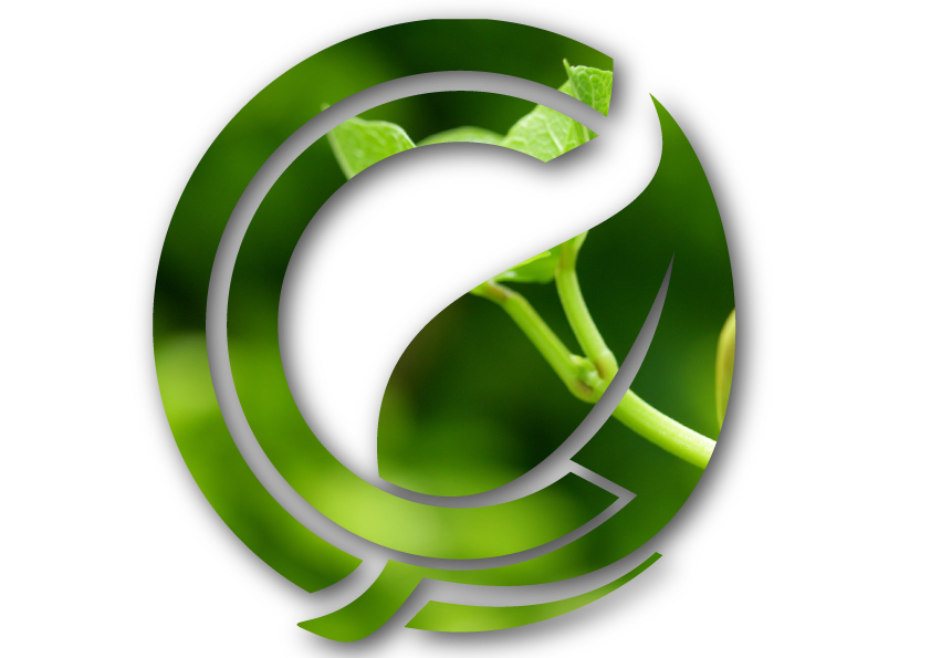 carbcred-veggie-logo (1)